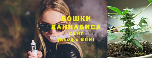 PSILOCYBIN Баксан