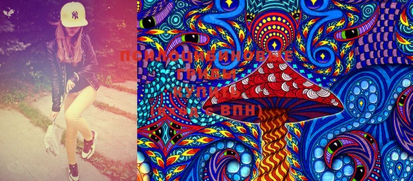 PSILOCYBIN Баксан