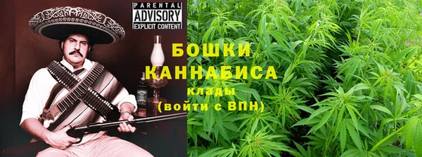 PSILOCYBIN Баксан