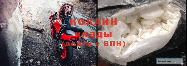 PSILOCYBIN Баксан