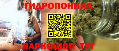 apvp Новозыбков