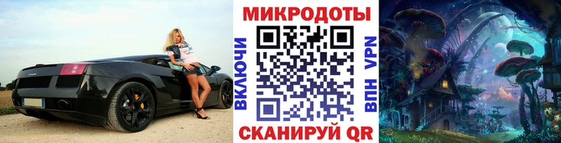 как найти закладки  Унеча  Галлюциногенные грибы Psilocybine cubensis 