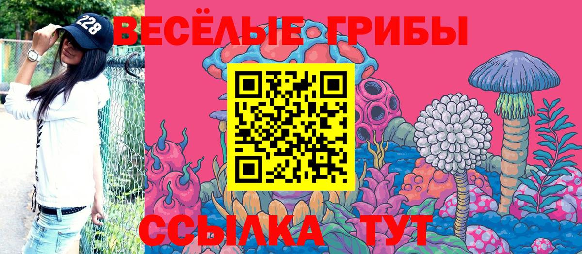 Псилоцибиновые грибы Psilocybine cubensis Унеча